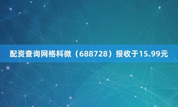 配资查询网格科微（688728）报收于15.99元