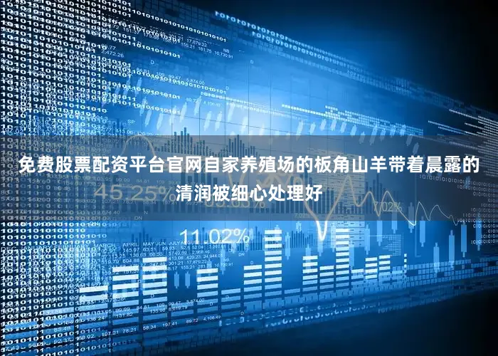 免费股票配资平台官网自家养殖场的板角山羊带着晨露的清润被细心处理好